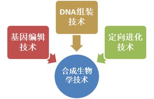 合成生物學(xué)領(lǐng)域的前沿技術(shù)及中國國際地位現(xiàn)狀