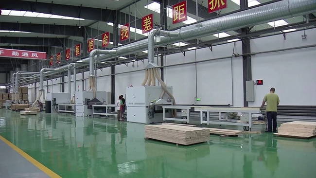 聚焦自貿區 以生物領域為突破，推動進口產品落地加工促進跨境產業融合發展