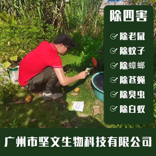 荔灣醫院滅鼠防治公司:工廠殺蟲滅鼠方案,保障生產環